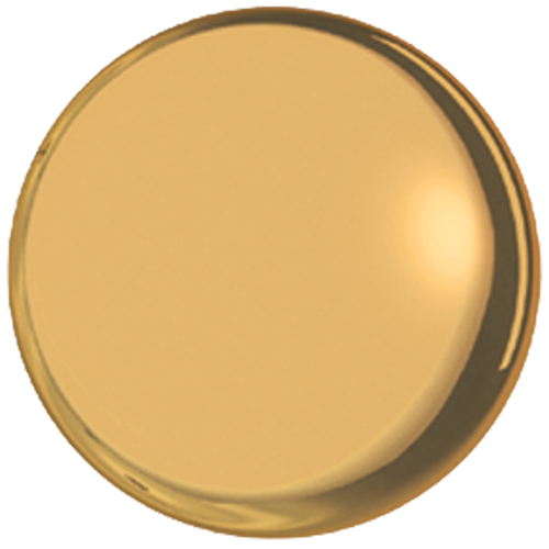 24K Polished Gold 