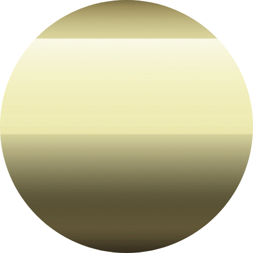 Polished Gold PVD®