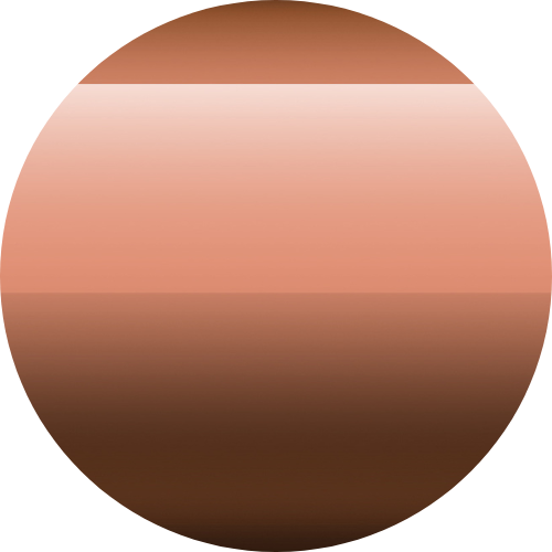 Rose Gold / Polished Copper PVD®