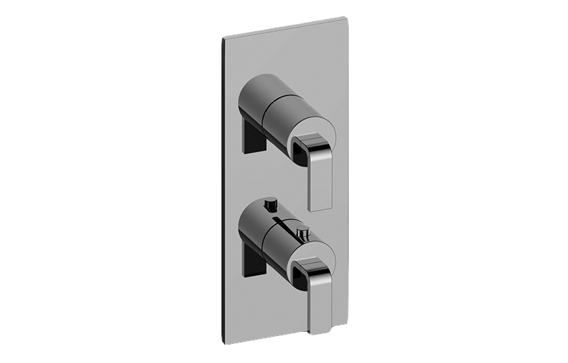 Immersion M-Series Valve Trim with Two Handles