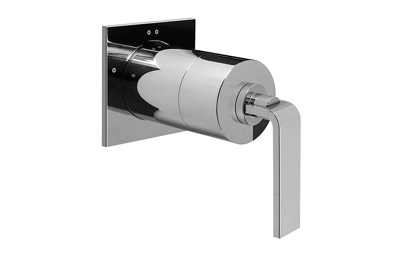 Immersion Transfer Valve Trim Plates and Handle