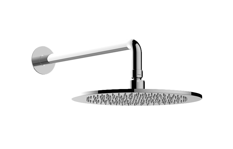 Contemporary Showerhead with Arm