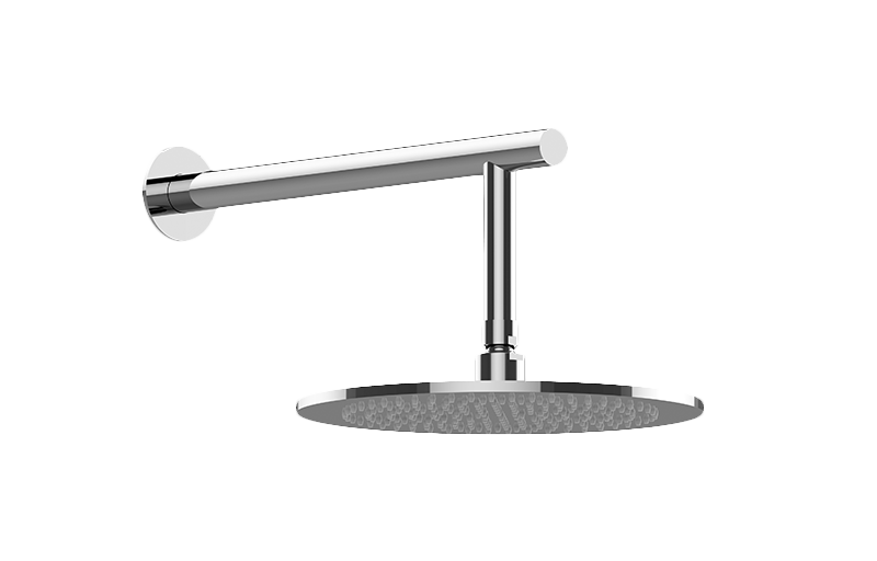 Contemporary Showerhead with Arm