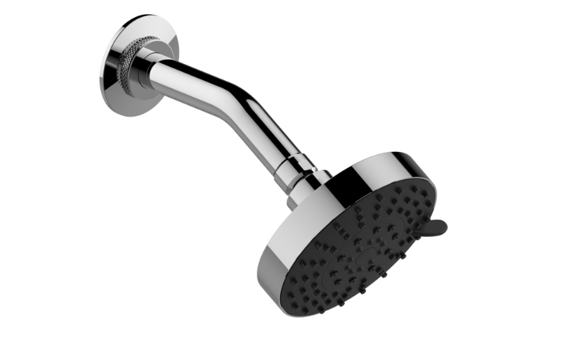 Contemporary Showerhead with Arm