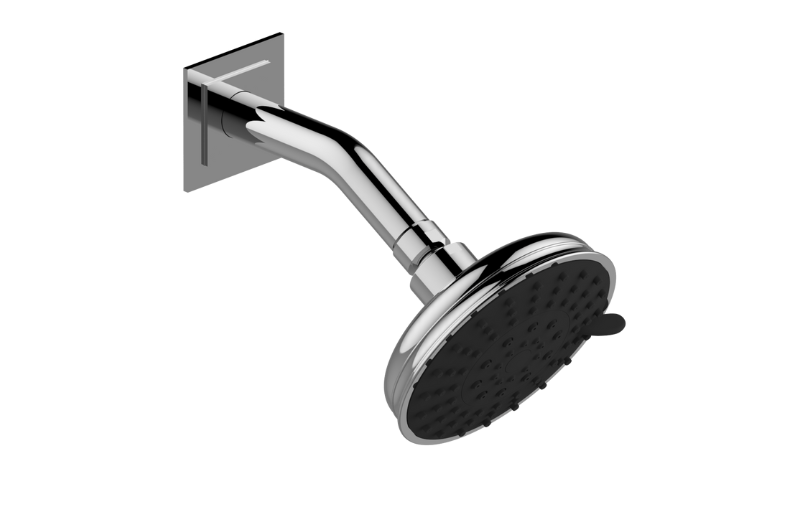 Transitional Showerhead with Arm