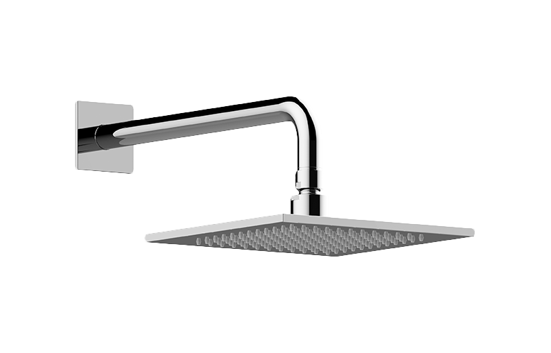 Contemporary Showerhead with Arm