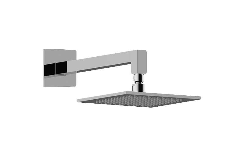 Contemporary Showerhead with Arm