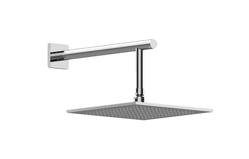 Contemporary Showerhead with Arm