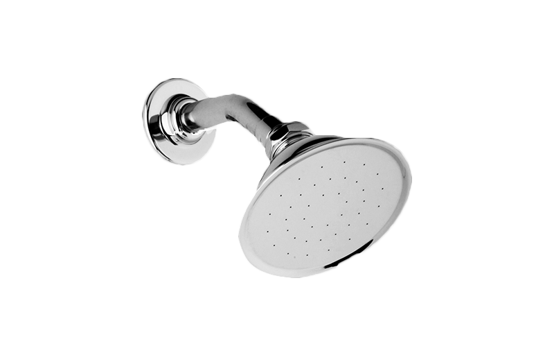 Elegant Showerhead with Shower Arm