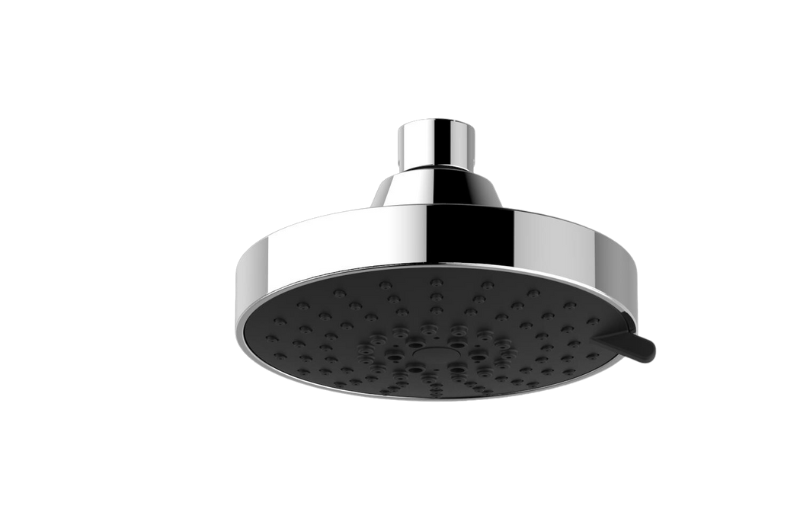 Multi-Function Showerhead