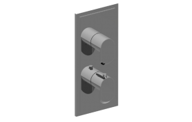 Phase Transitional M-Series Valve Trim with Two Handles